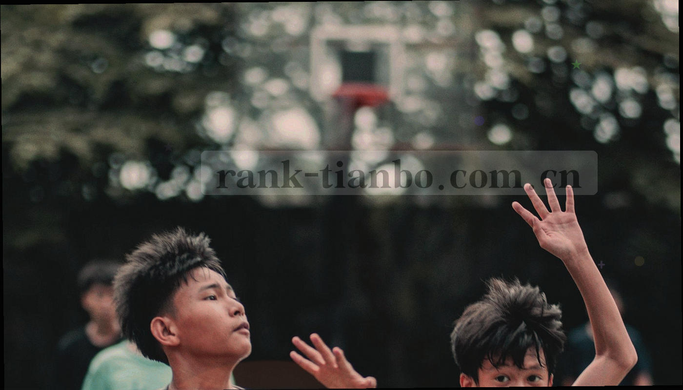 左右两块球场区域内的轨迹密度对比抽象图形
